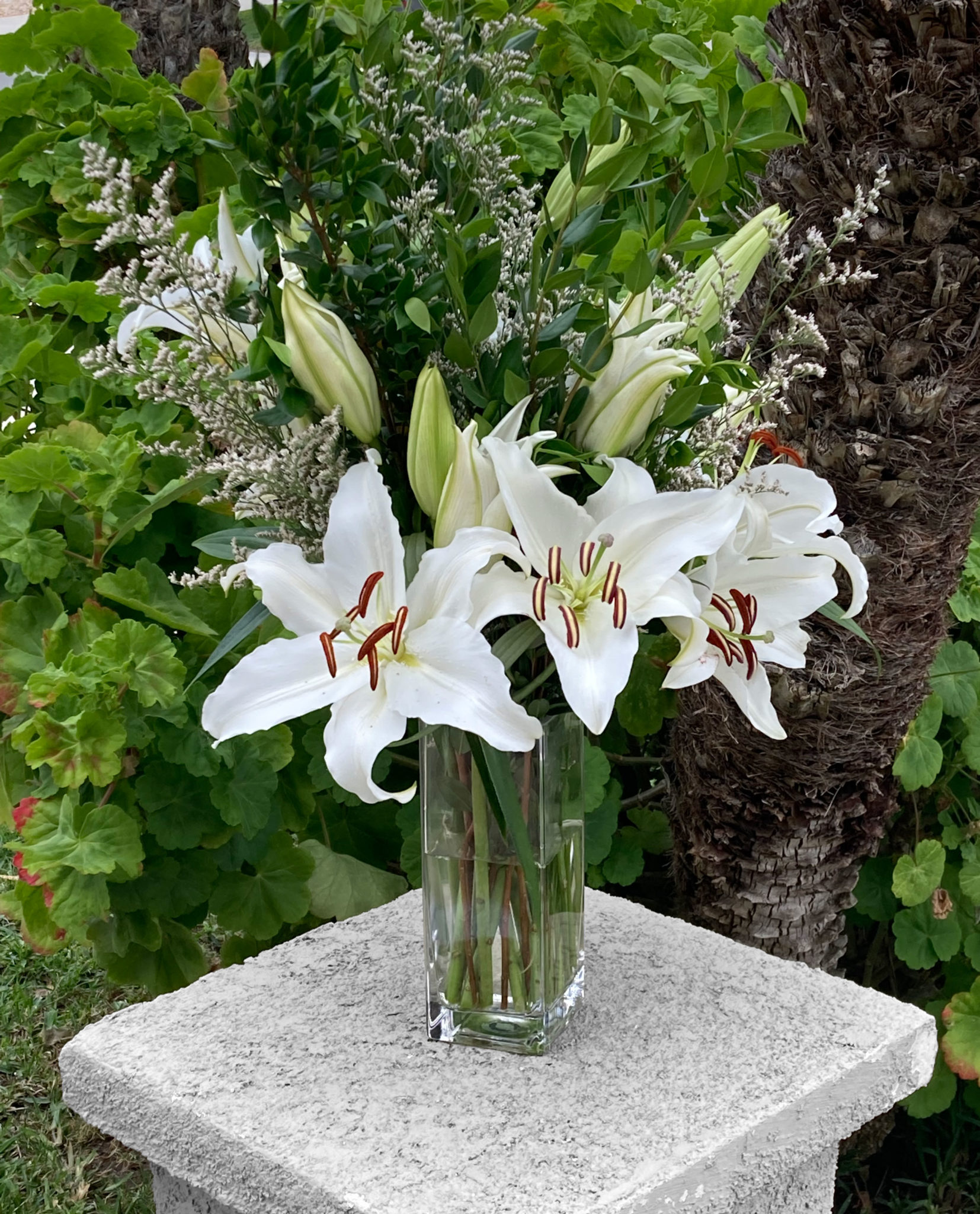 Israeli Lilies - Flower Delivery by BLOOM PARLOR